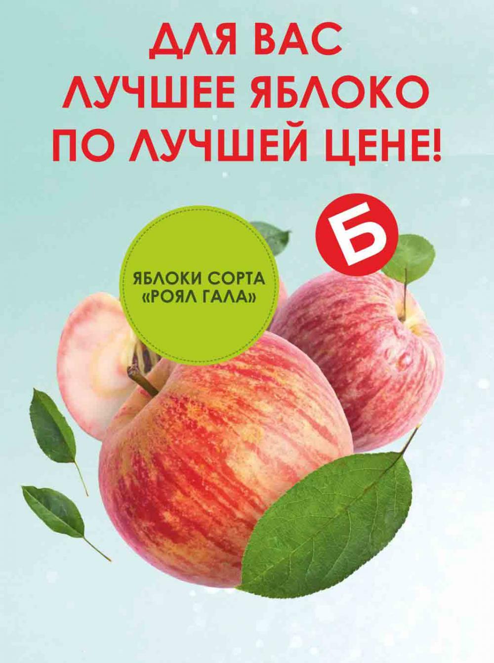 Bristol Katalog V Moskve 108 31 