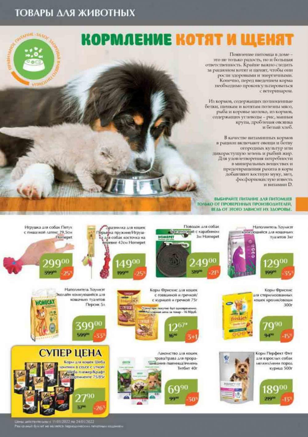 Magnoliya Katalog V Moskve 109 34 
