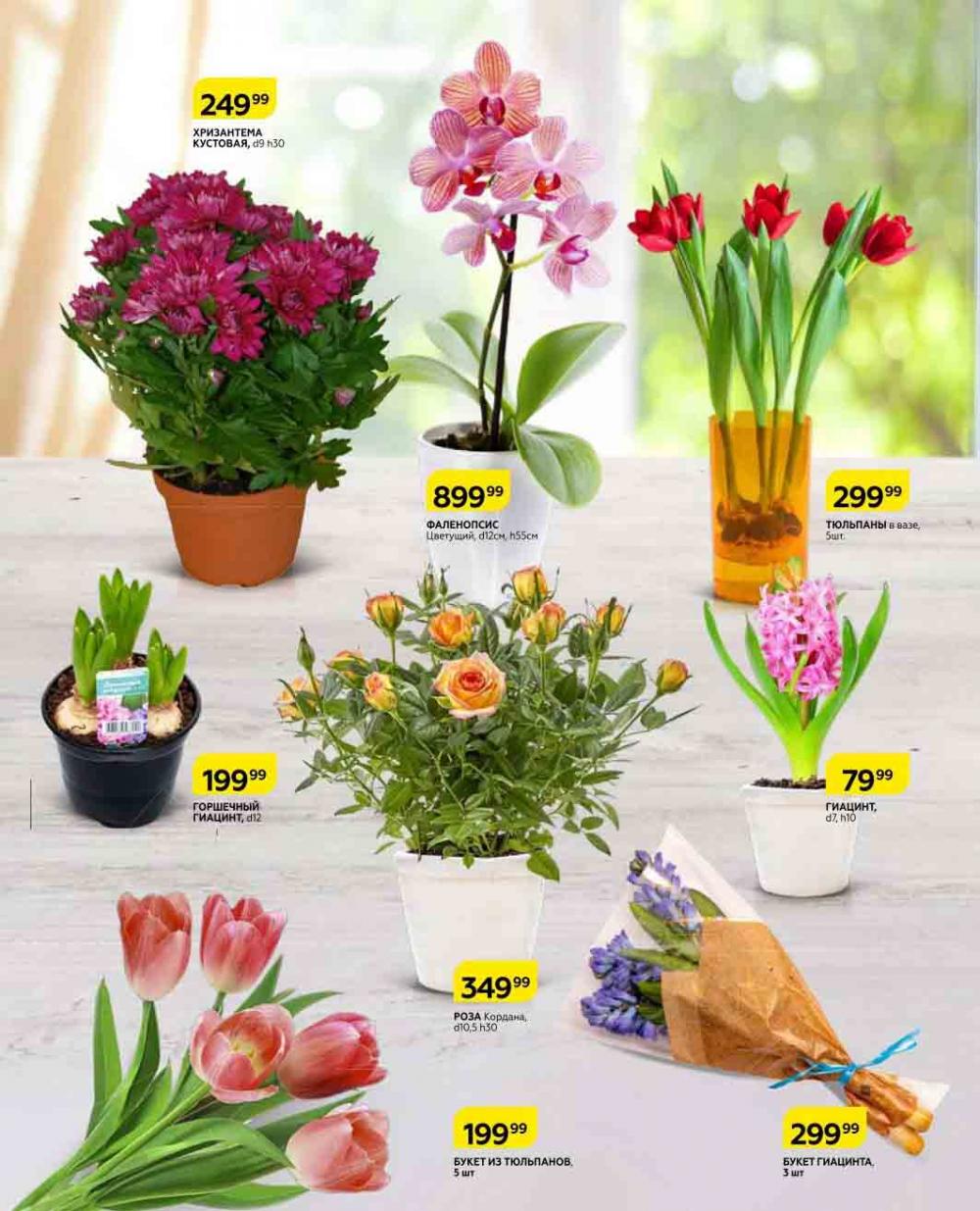 Magnit Kolomna Katalog3 V Moskve 04469 35 
