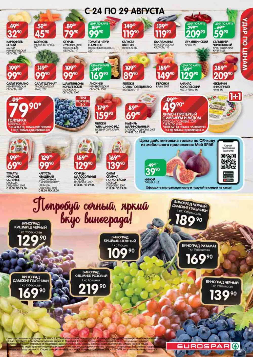 Evrospar Katalog V Moskve 125 3 