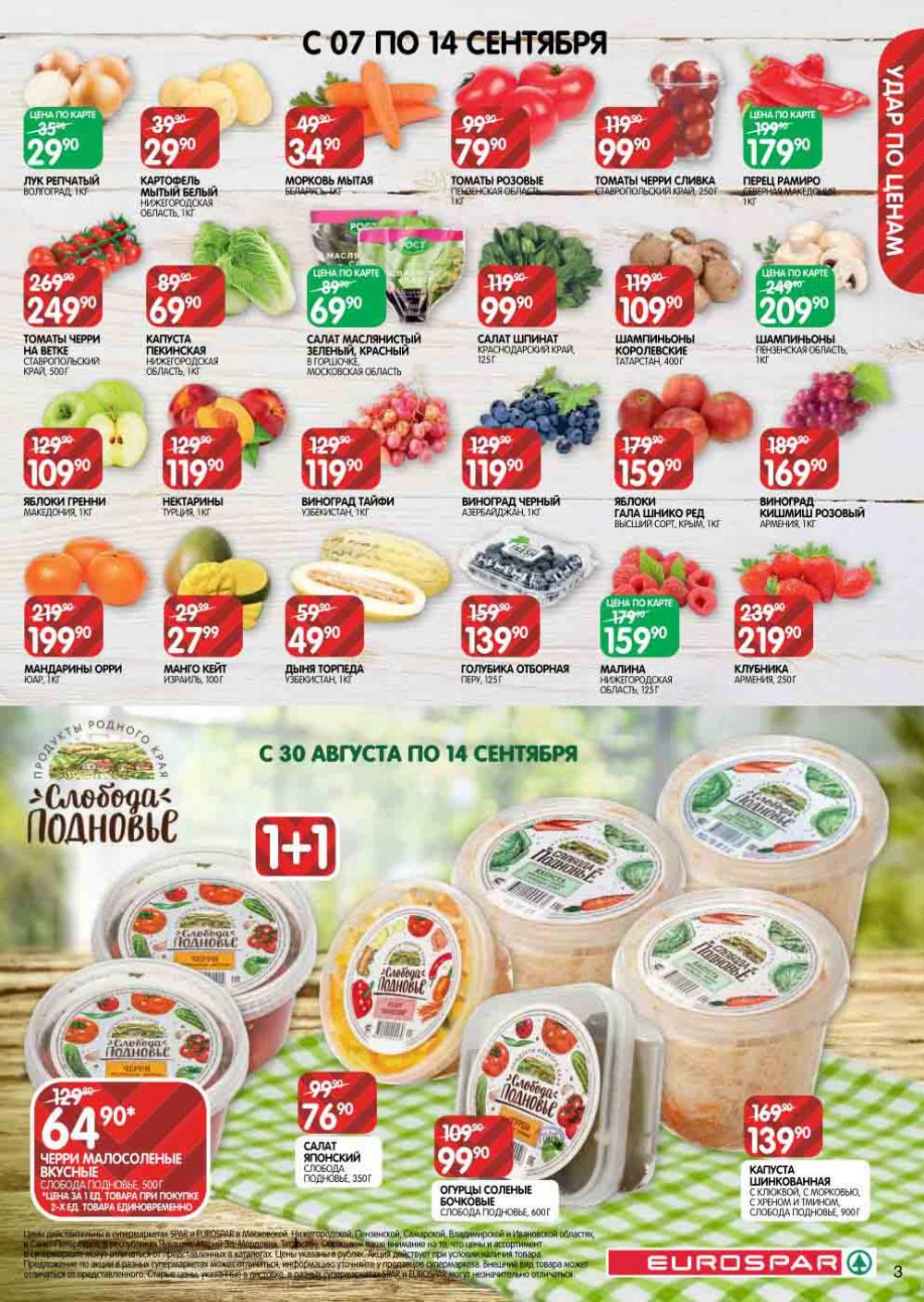 Evrospar Katalog V Moskve 126 3 