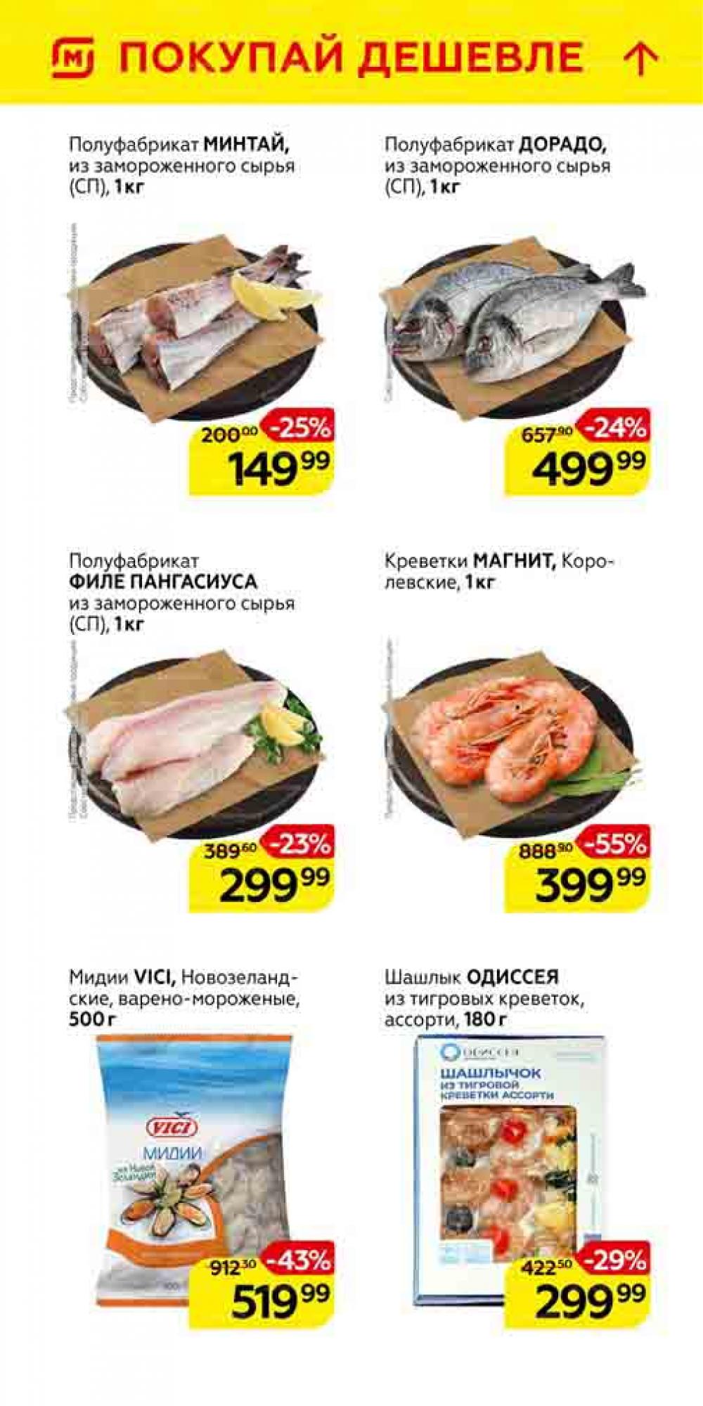 Magnit Gipermarket Kolomna Katalog 101459 11 