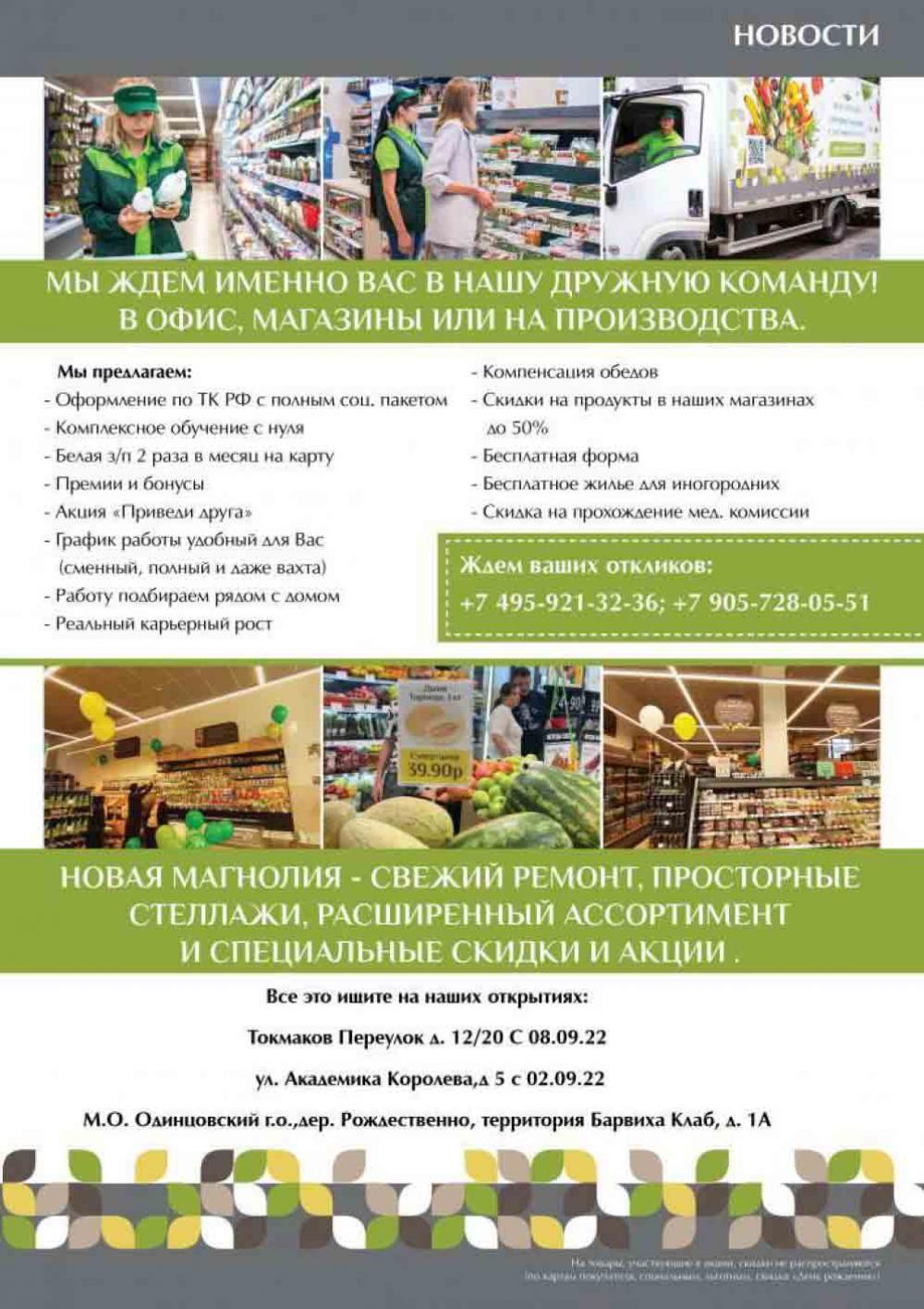 Magnoliya Katalog V Moskve 138 43 
