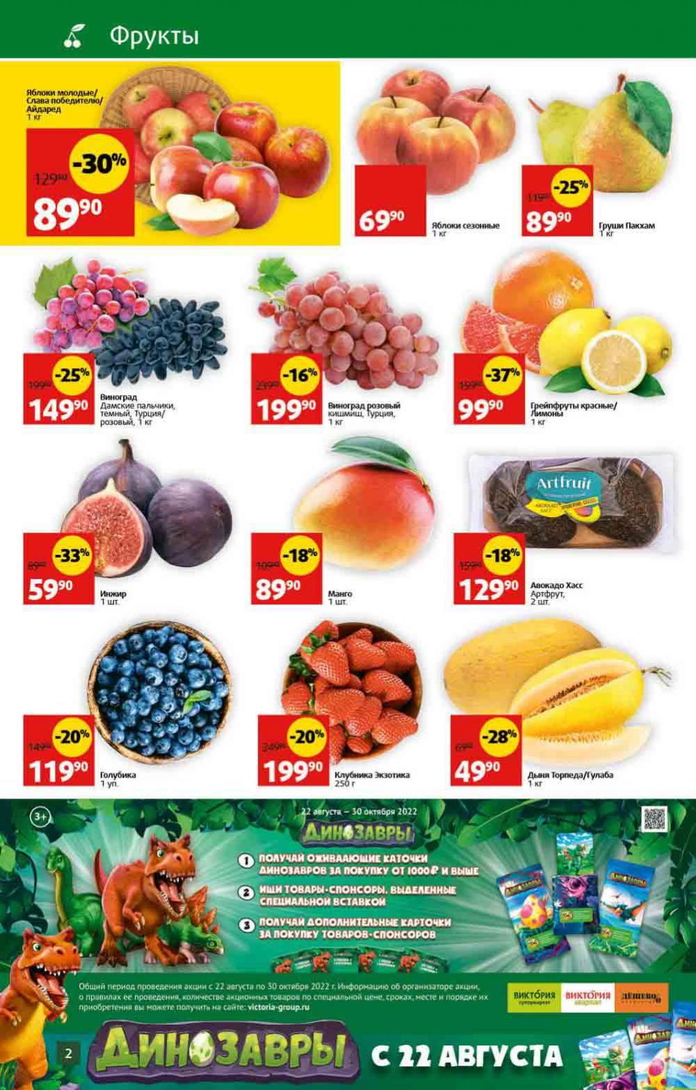 Viktoriya Katalog V Moskve4258 2 