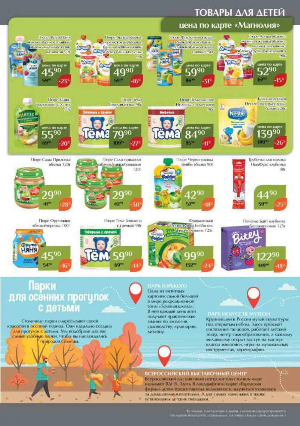 Magnoliya Katalog V Moskve 146 41 