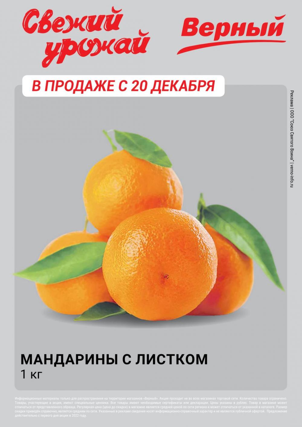 vernij_katalog_v_moskve145402 13 