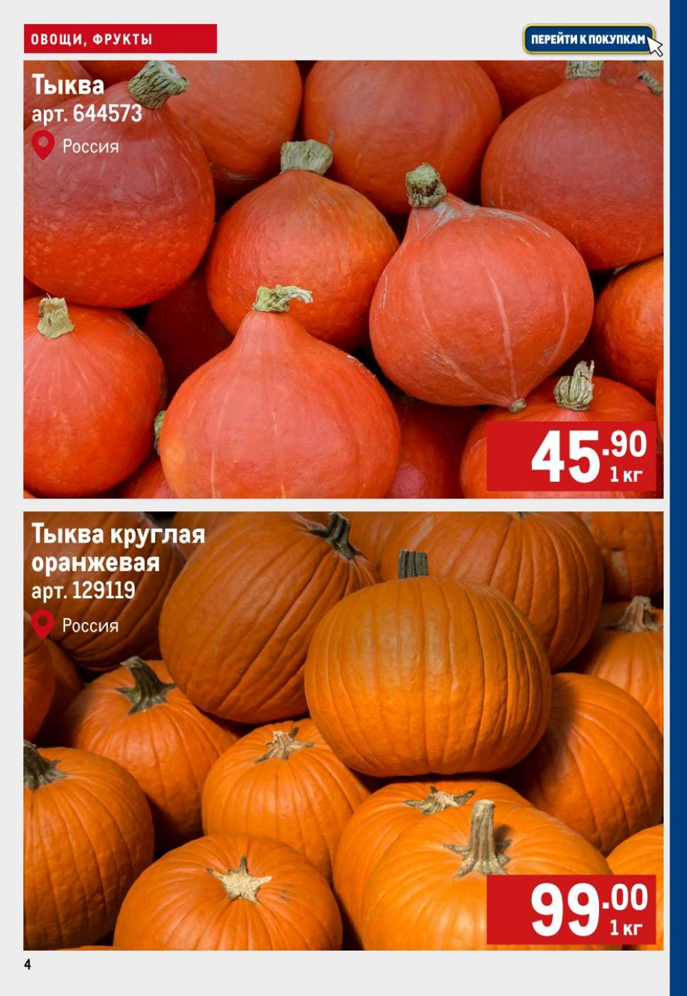 /metro_katalog22_v_moskve_46967 10 