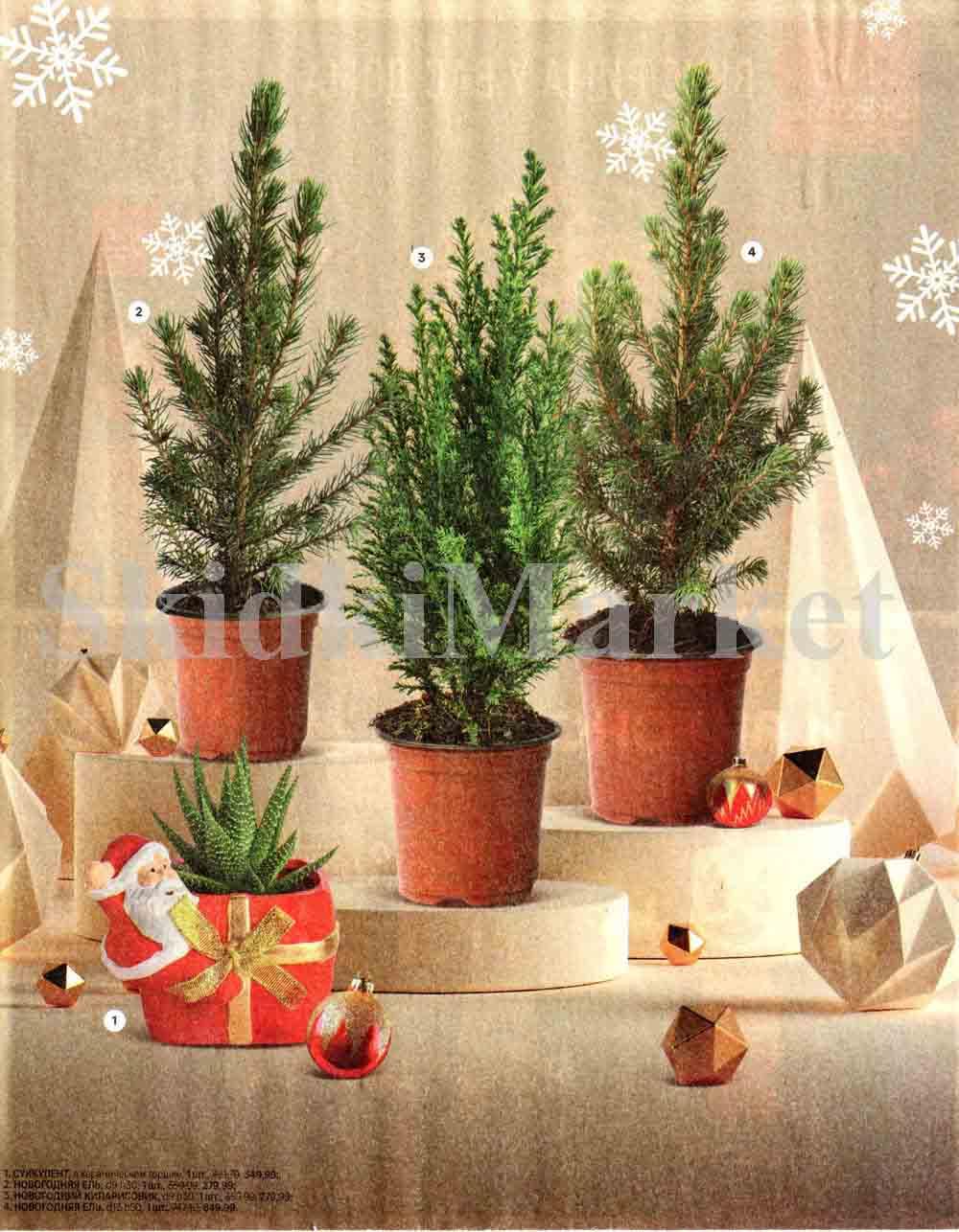 /magnit_kolomna_katalog3_v_moskve_50173 34 