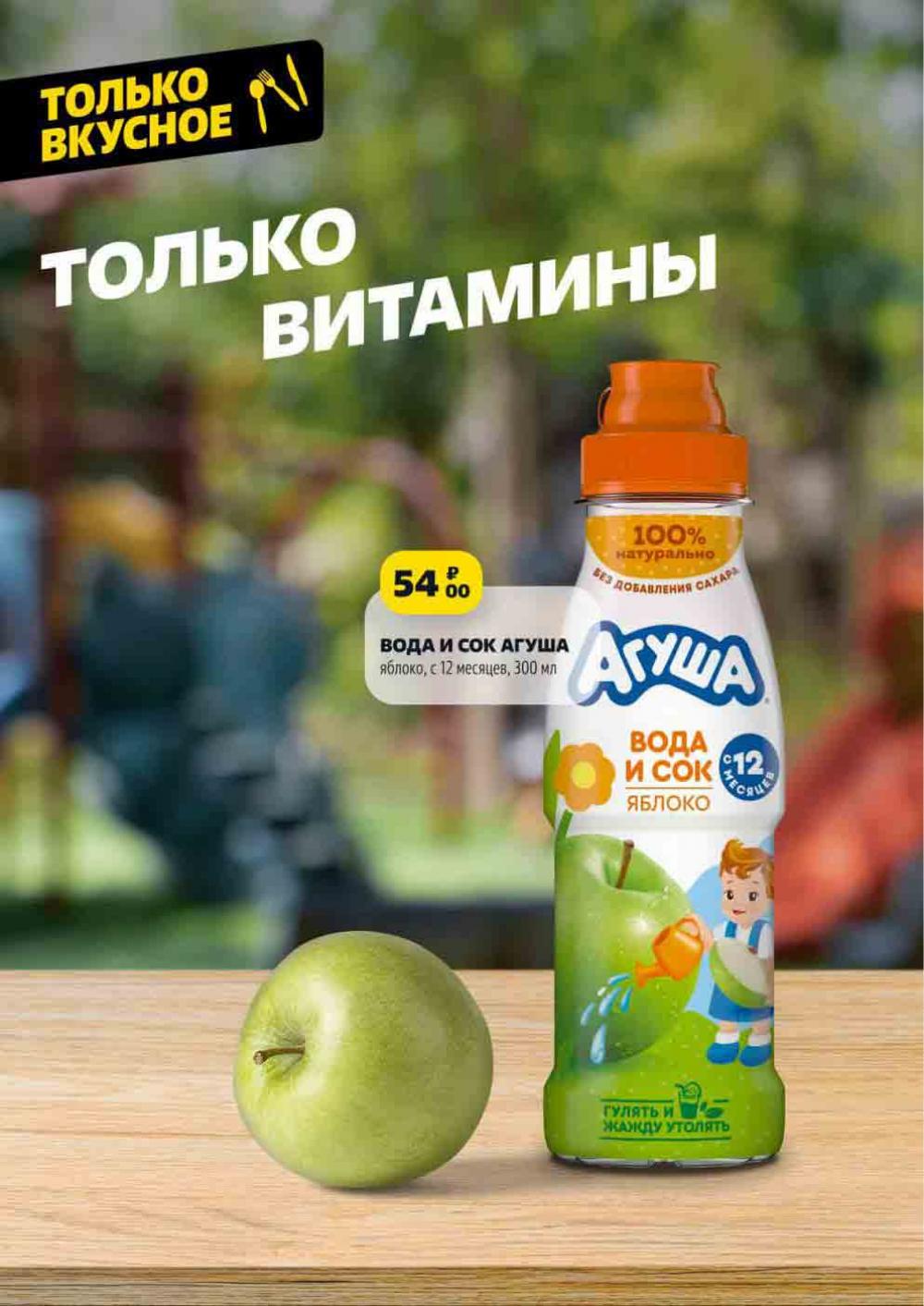 Чижик с 8 августа 2024