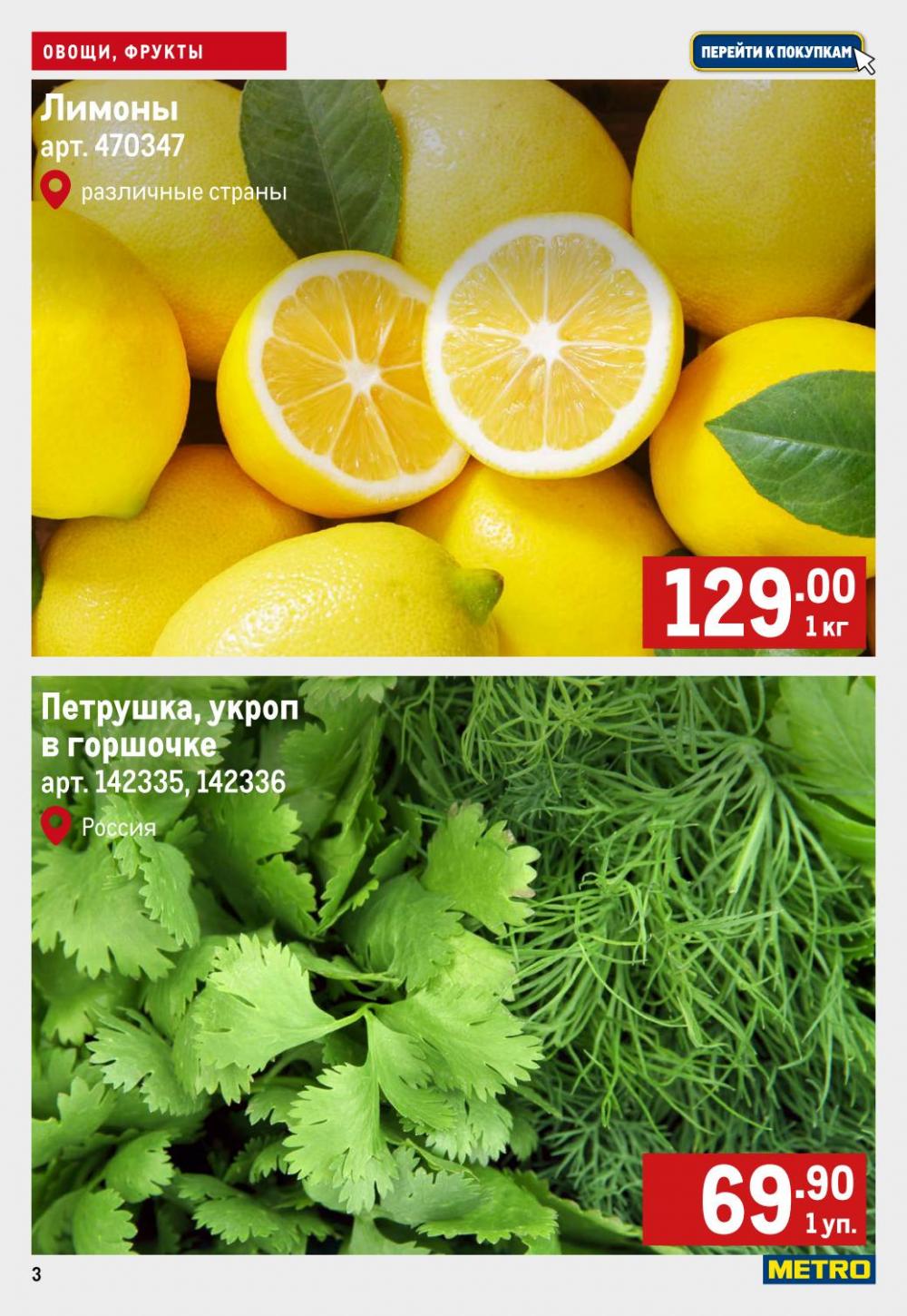 /metro_katalog22_v_moskve_57926 10 