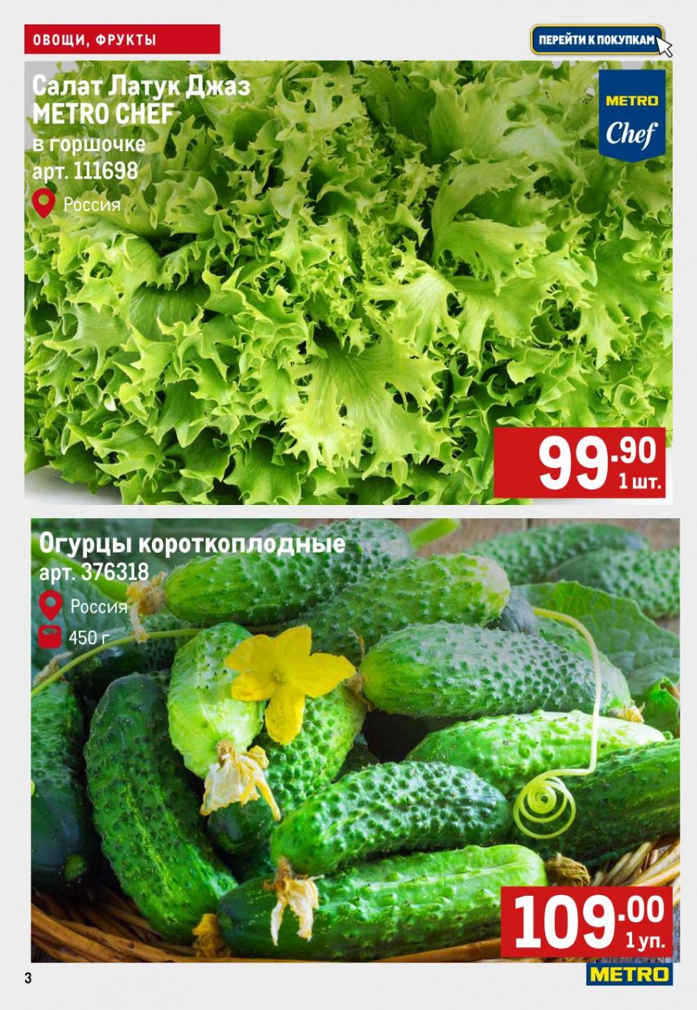 /metro_katalog22_v_moskve_57930 10 