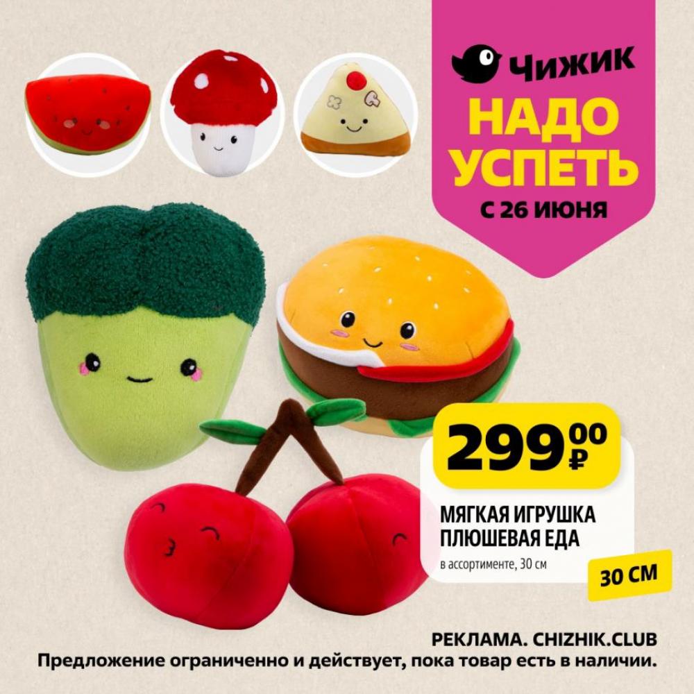 /chigik_skidki_151794 10 