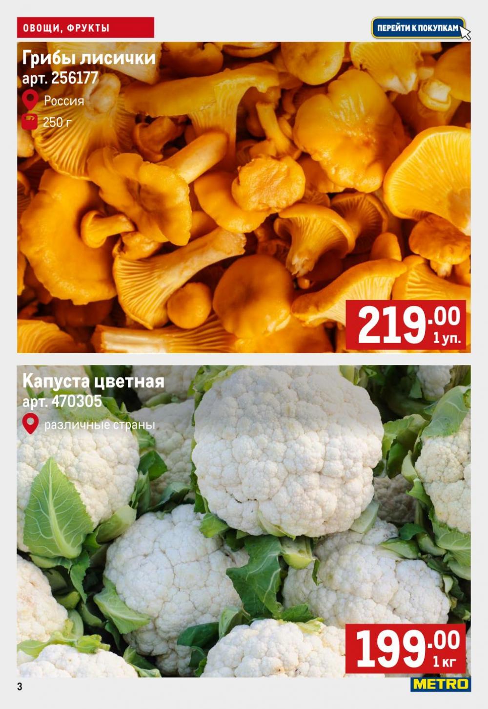 /metro_katalog50 10 