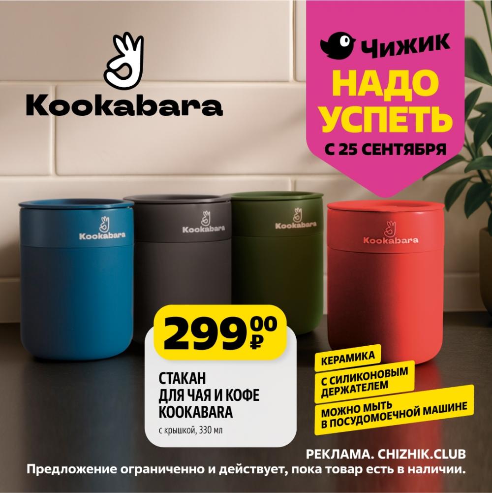 /chigik_skidki_151807 10 