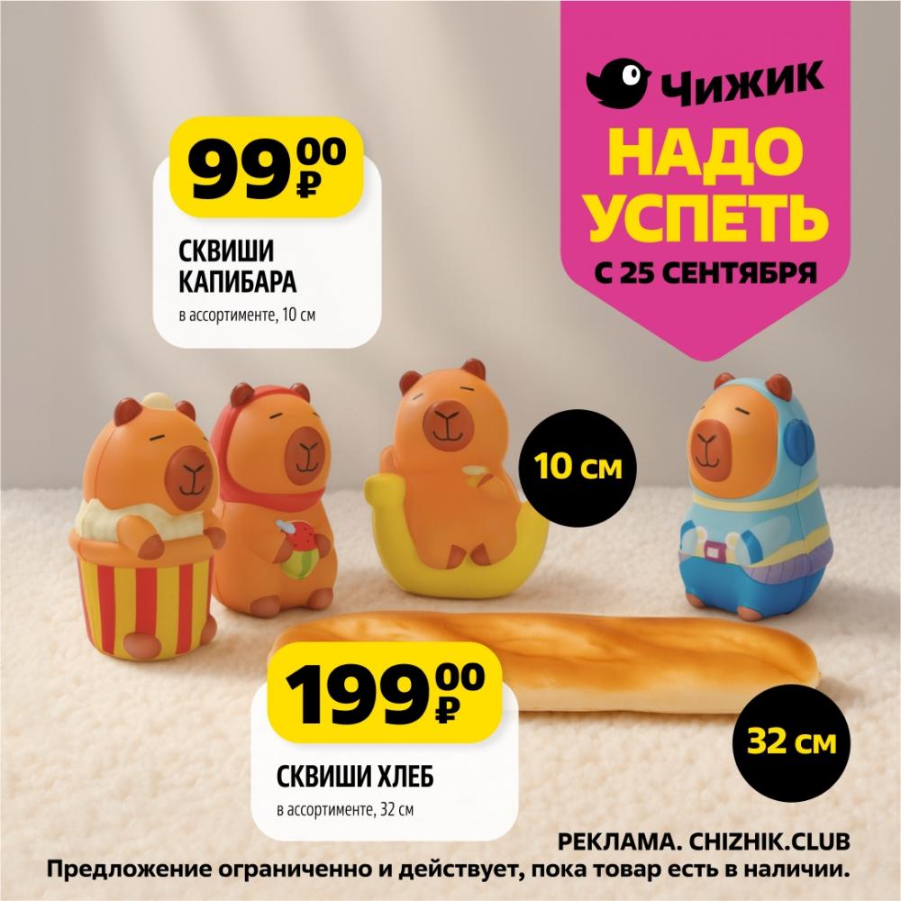 /chigik_skidki_151807 10 