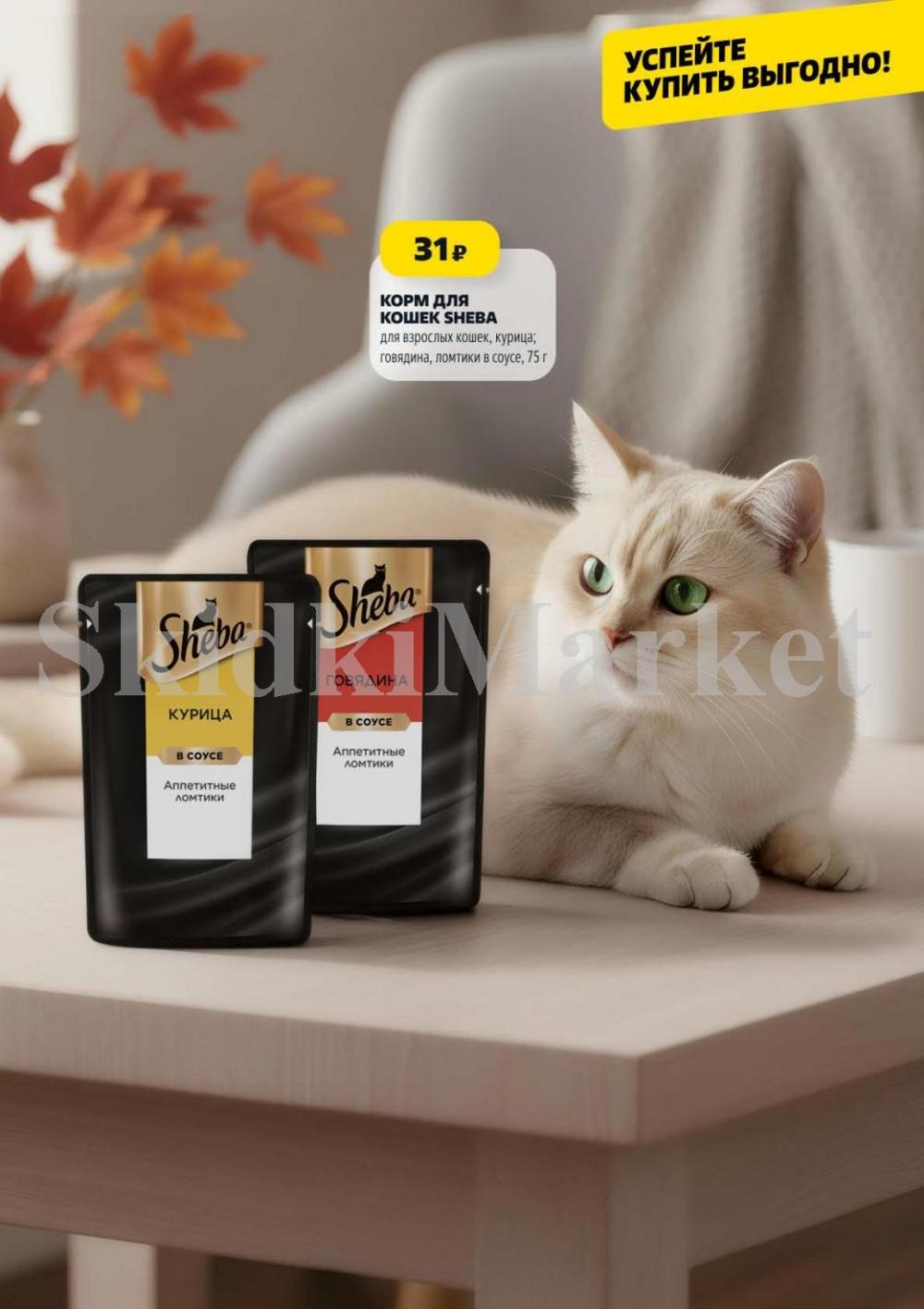 /chigik_skidki_051819 10 