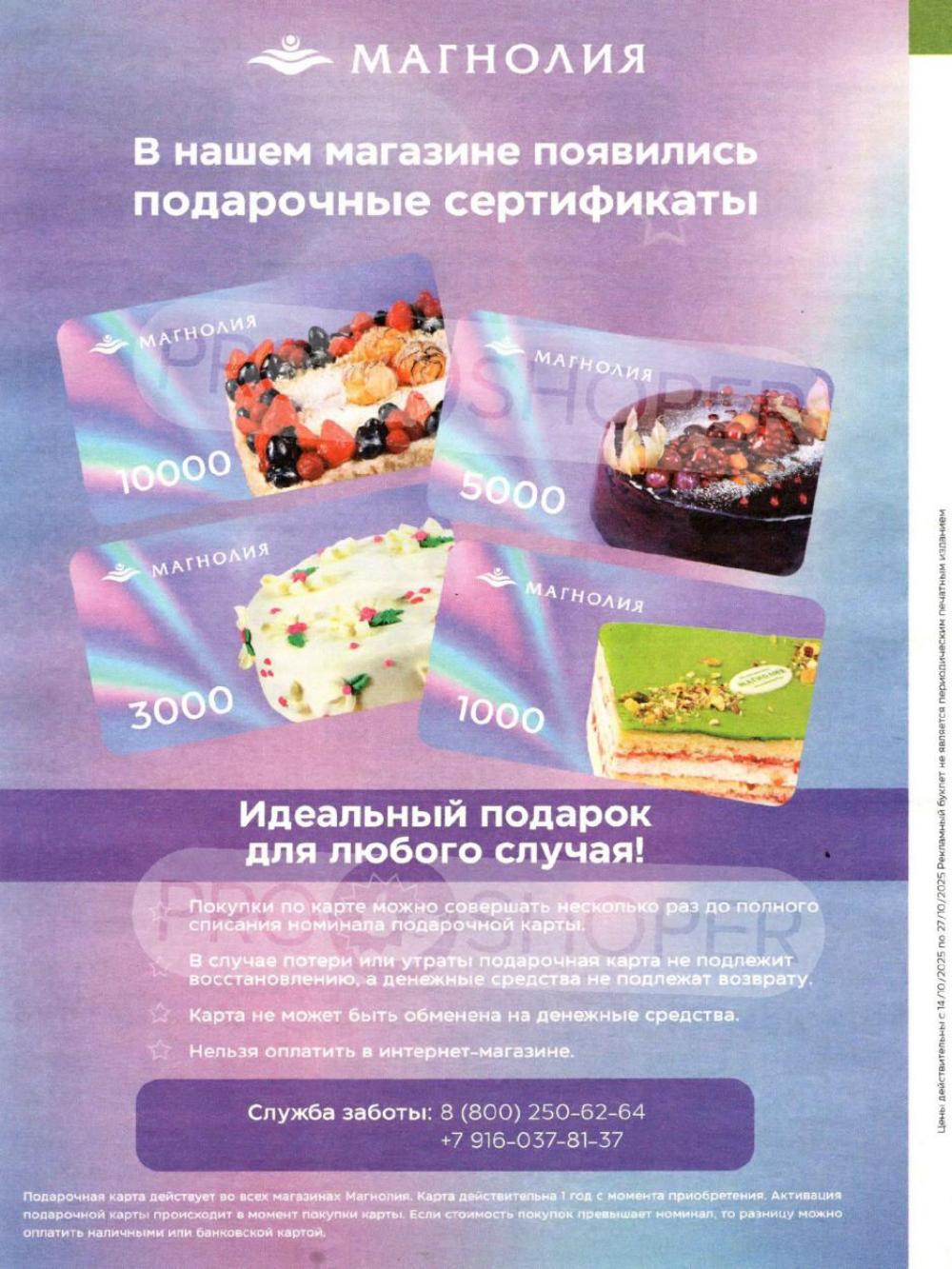 /magnoliya_katalog_v_moskve_376 18 