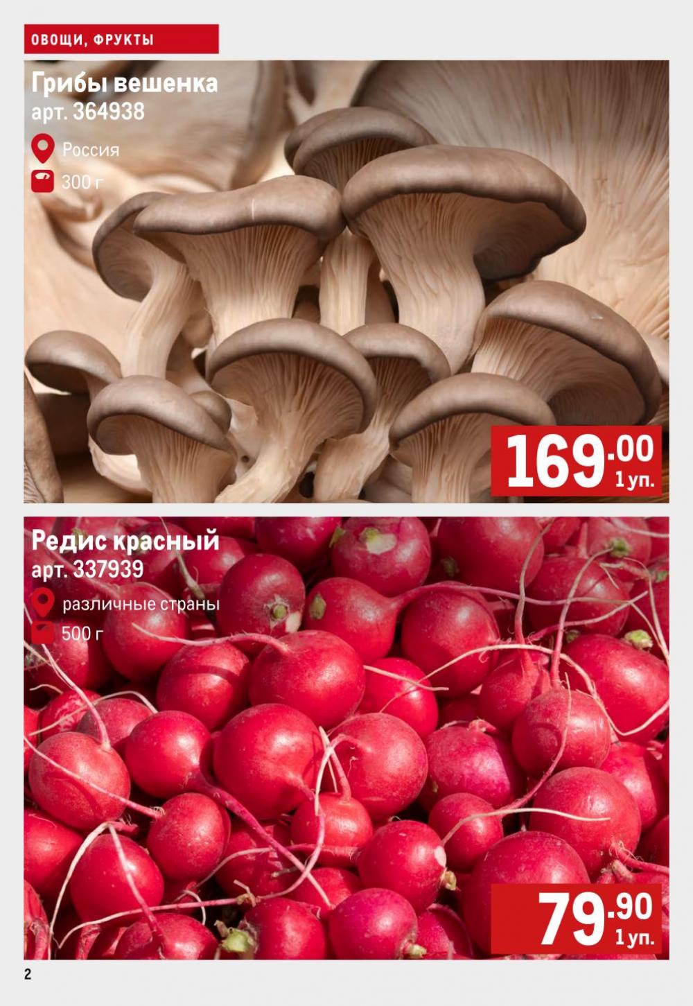 /metro_katalog60 10 