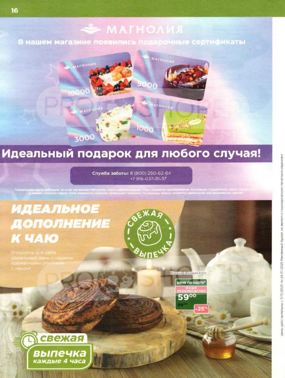 /magnoliya_katalog_v_moskve_380 16 