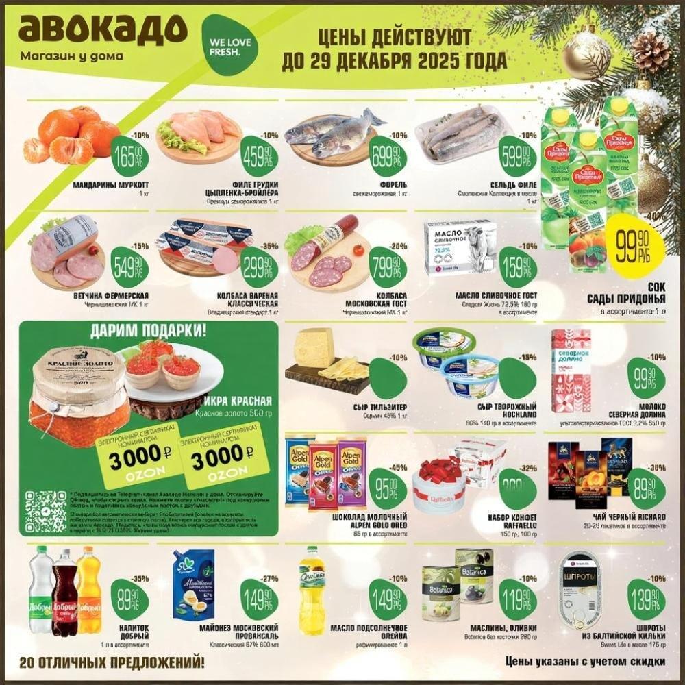 Avocado Magazin U Doma 108