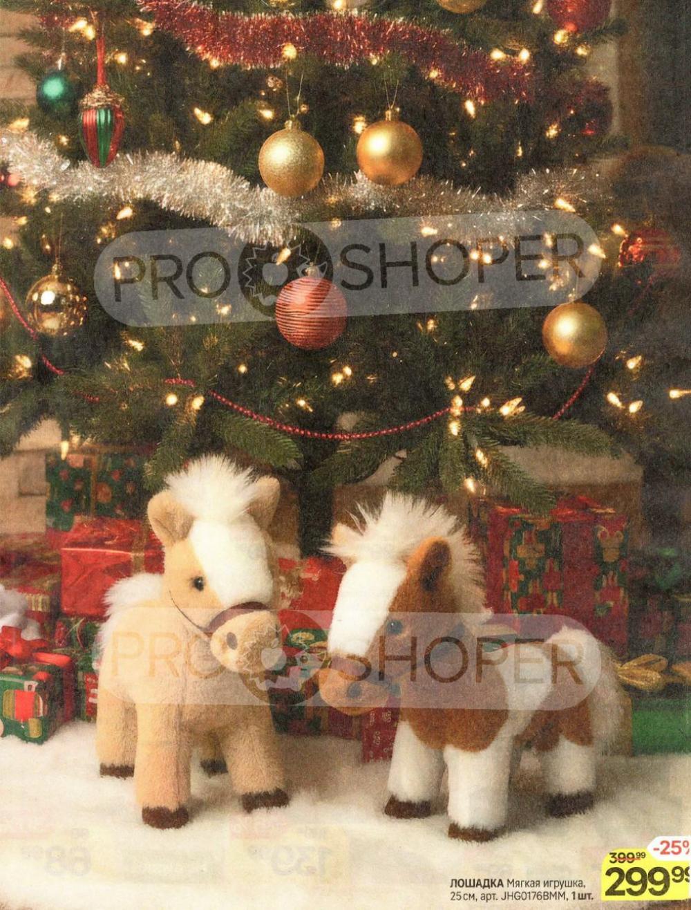 /magnit_v_moskve_50307 17 