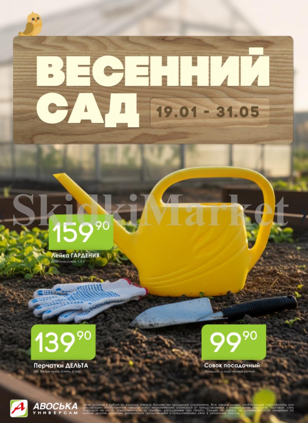 /avoska_ceni_v_moskve5585 10 