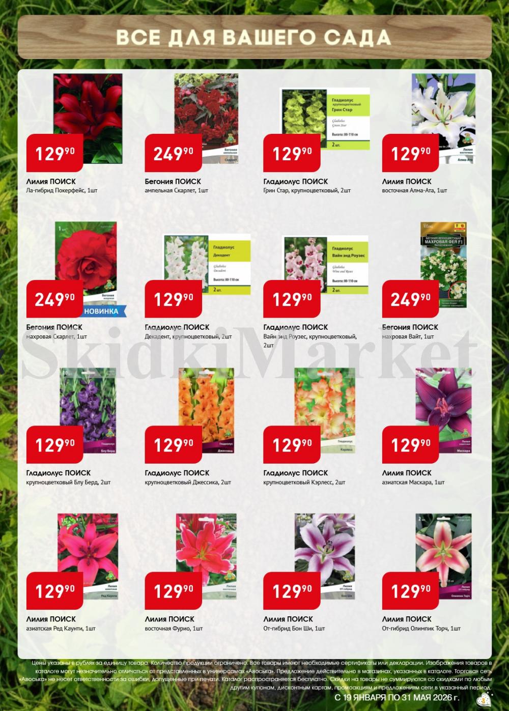 /avoska_ceni_v_moskve5585 10 