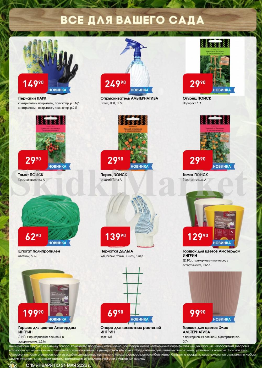 /avoska_ceni_v_moskve5585 10 