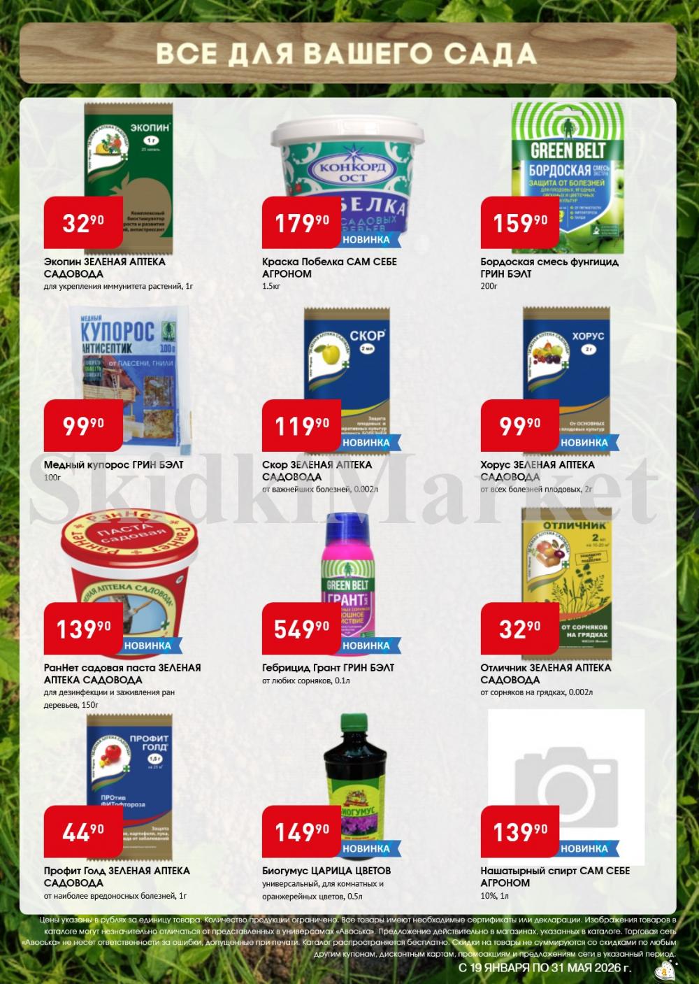 /avoska_ceni_v_moskve5585 10 