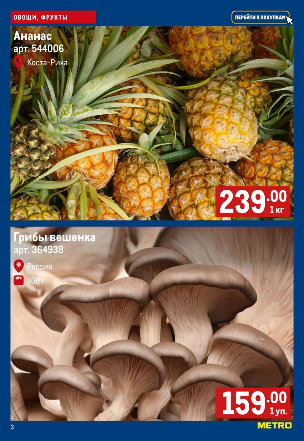 /metro_katalog174 10 