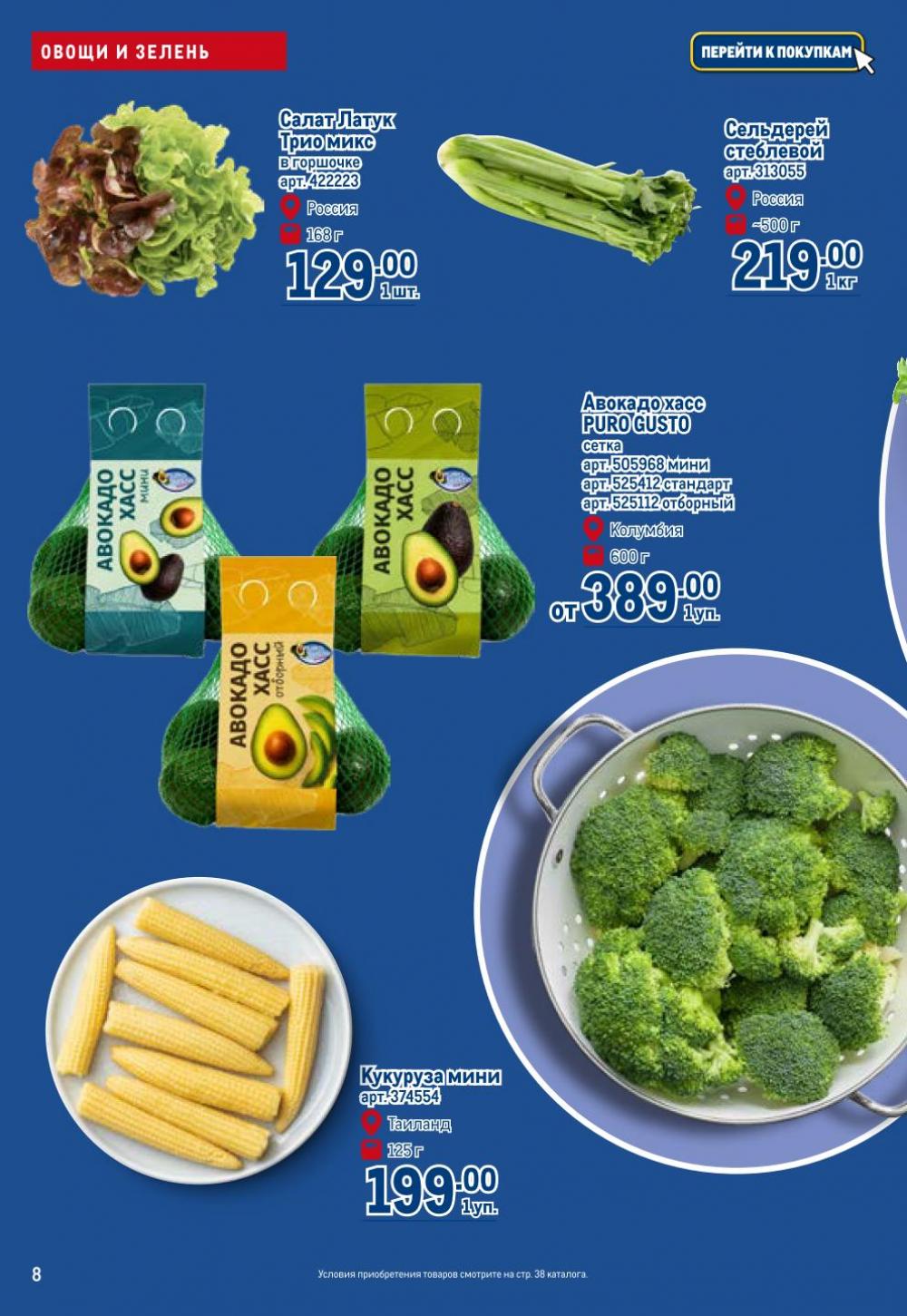 /metro_katalog272 10 