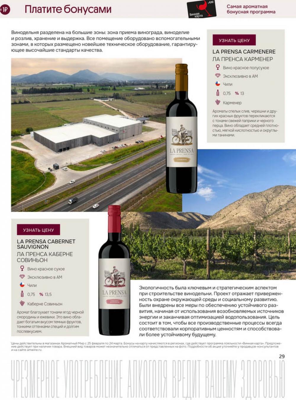 /aromatnyj_mir462 28 