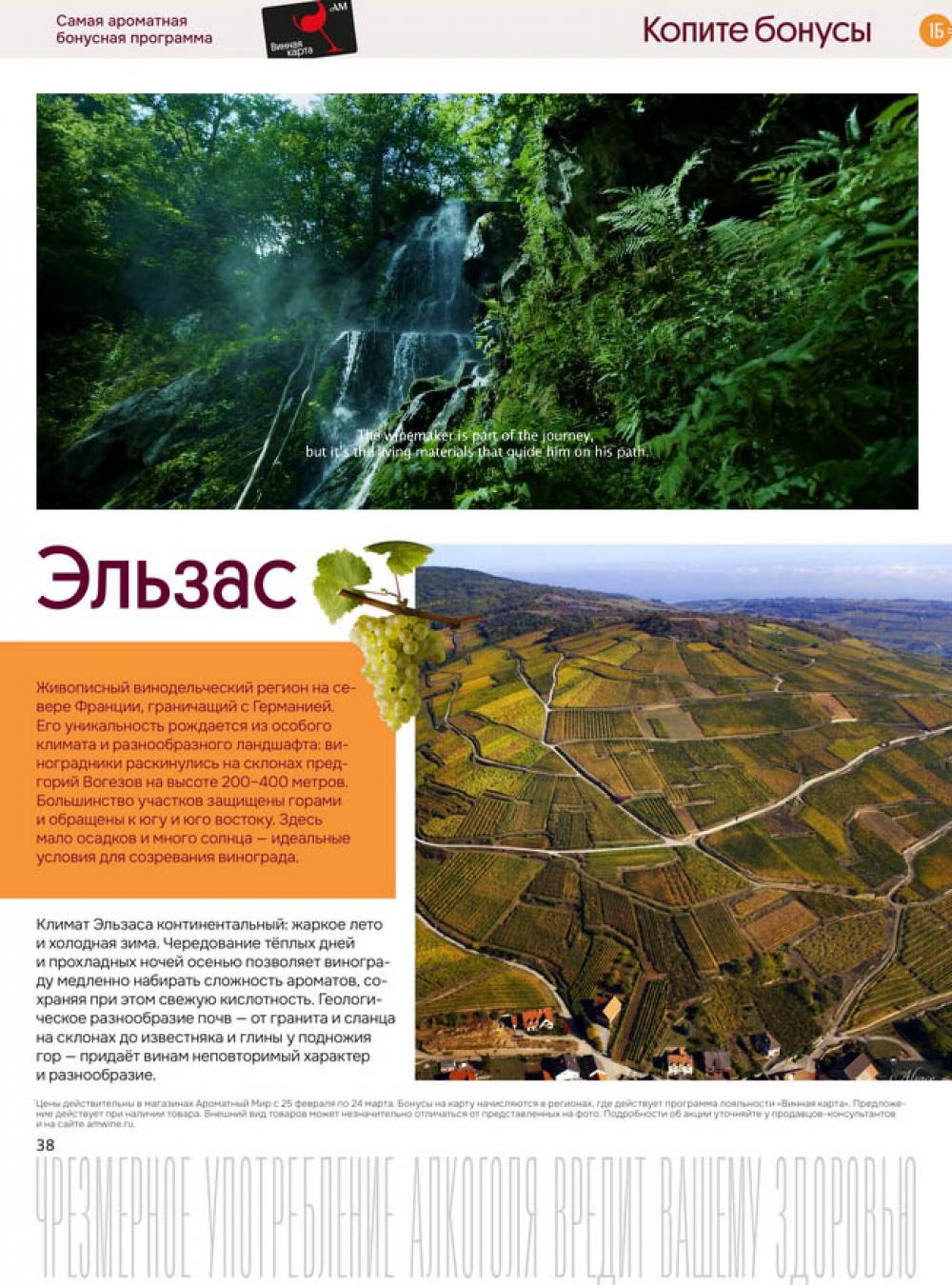 /aromatnyj_mir462 35 